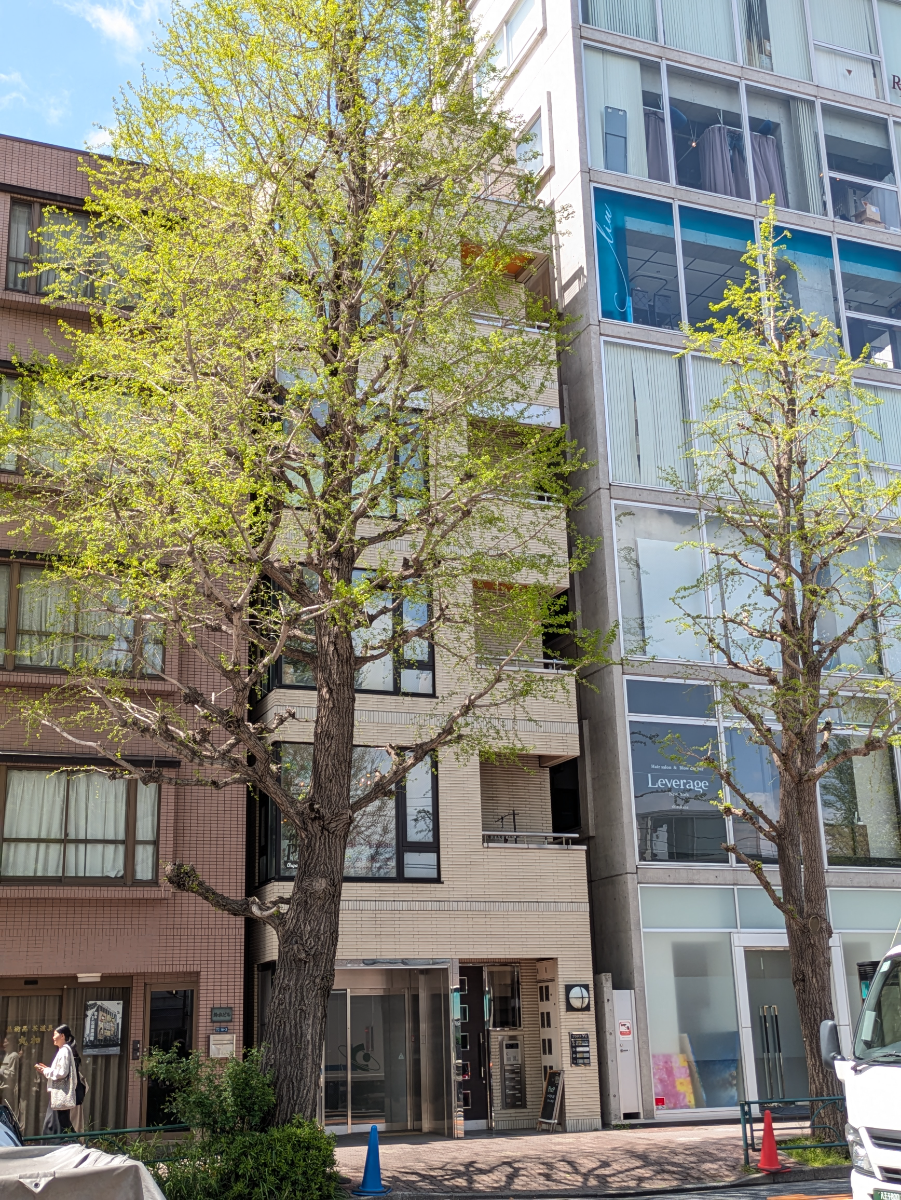 fresh/building/J00100476754_6