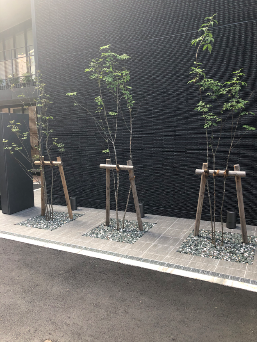 fresh/building/J00100477940_10