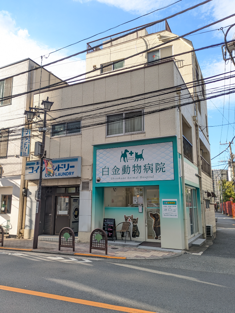 fresh/building/J00100478652_6