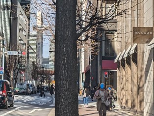 fresh/building/J00100479970_13