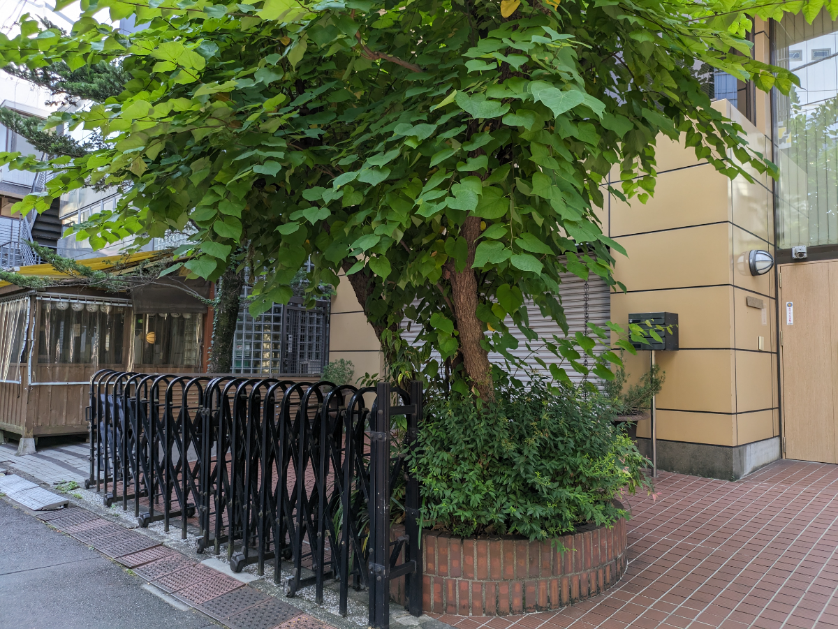 fresh/building/J00100480447_11