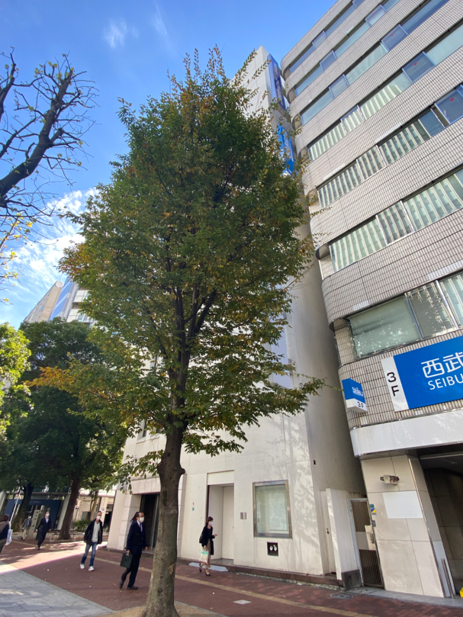 fresh/building/J00100481573_5