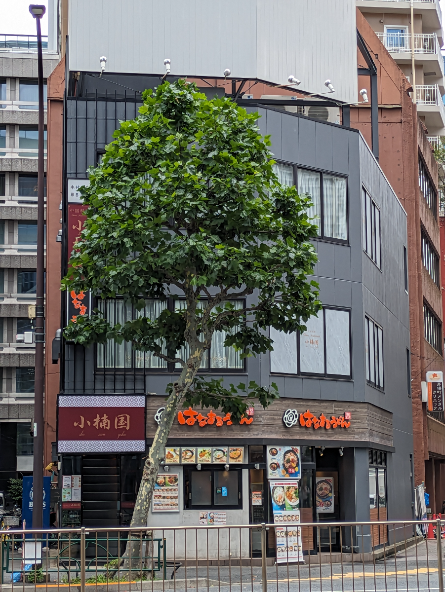 fresh/building/J00100490492_6