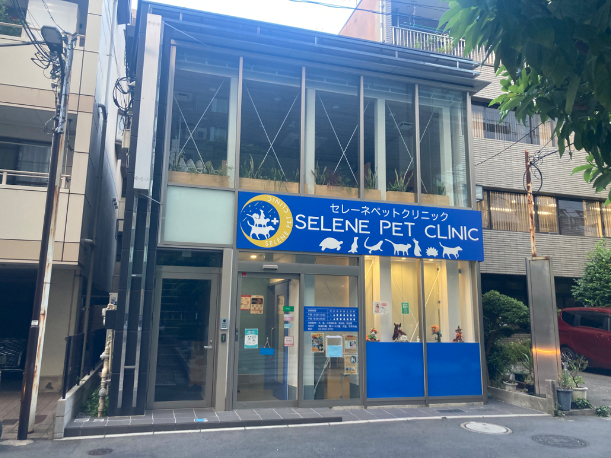 fresh/building/J00100493434_6