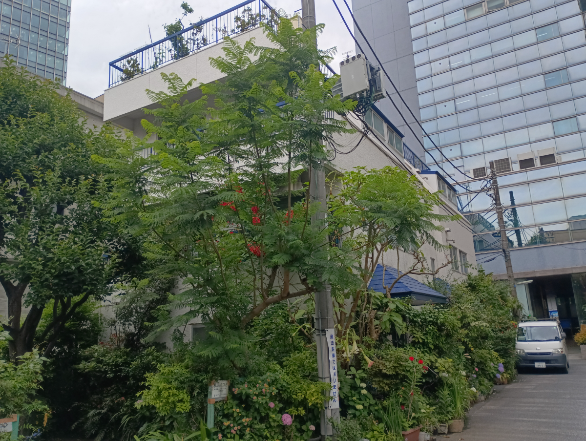 fresh/building/J00100496528_1
