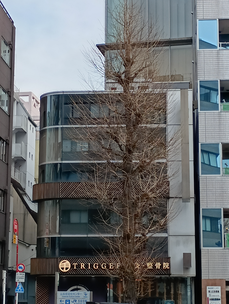 fresh/building/J00100496796_7