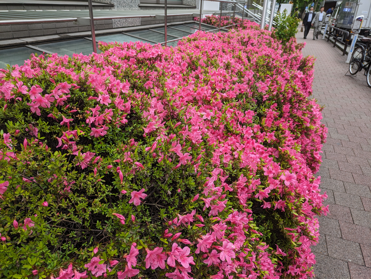 fresh/building/J00100498712_10