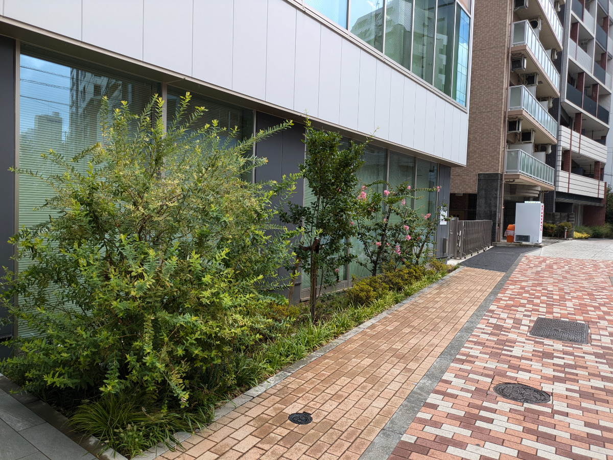 fresh/building/J00100500546_7