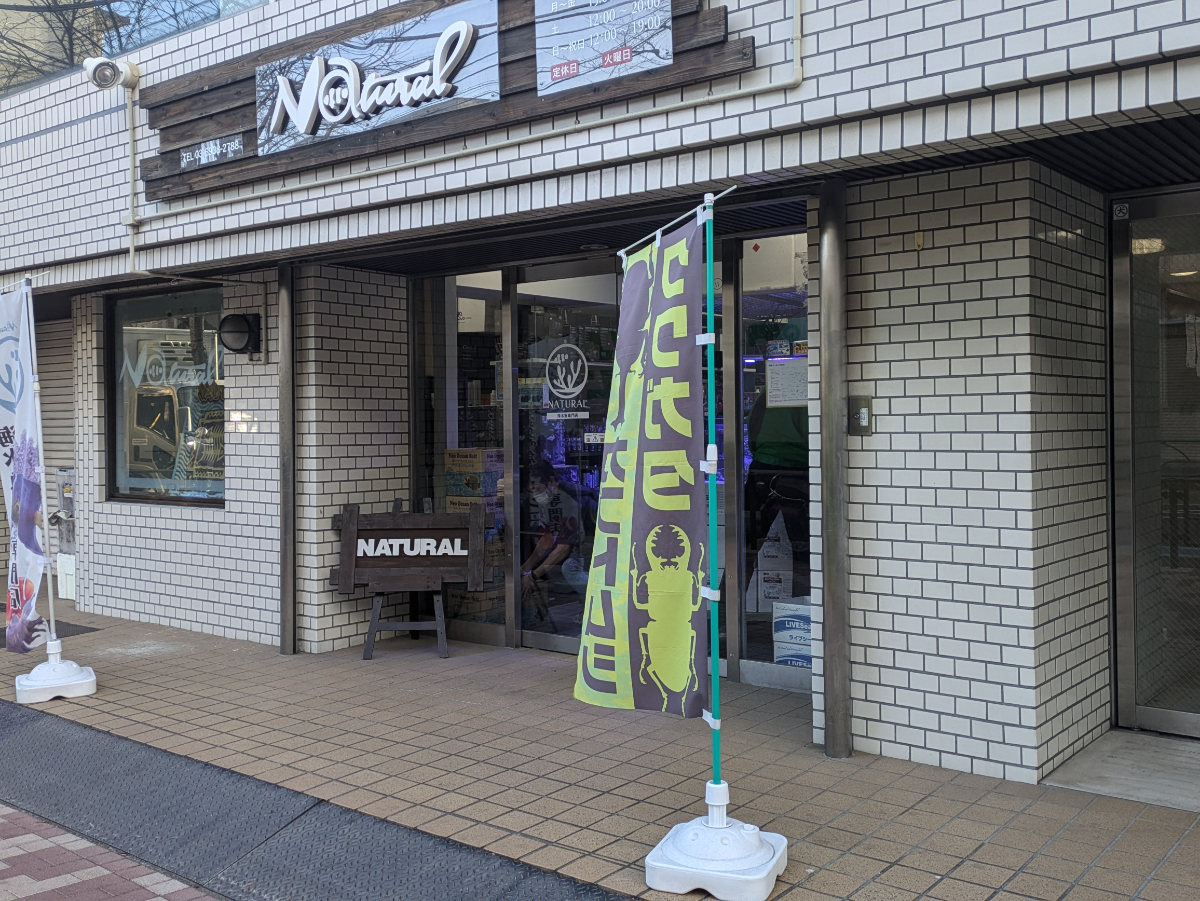 fresh/building/J00100501324_13