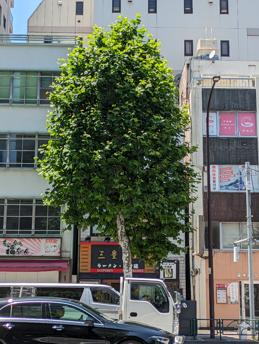 fresh/building/J00100502902_8
