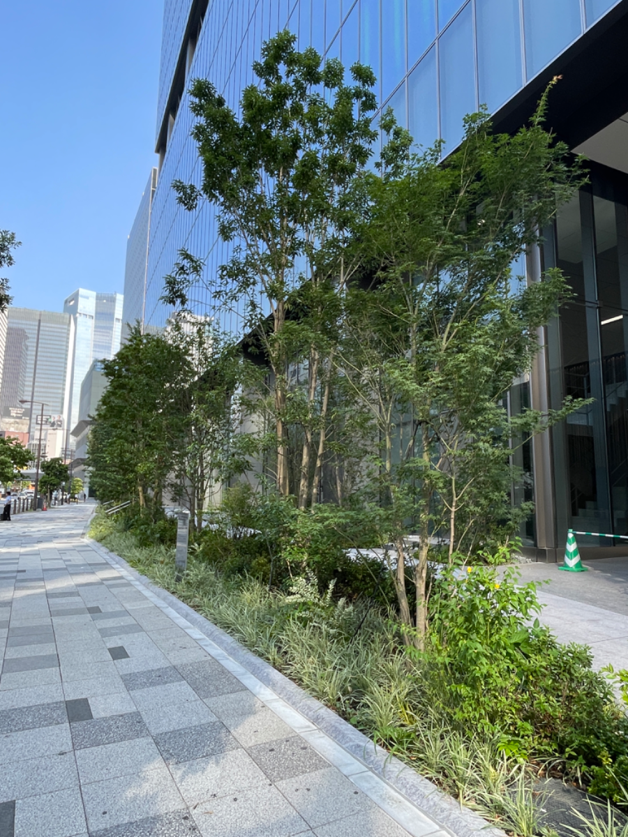 fresh/building/J00100505738_12