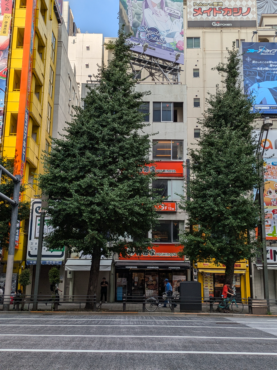 fresh/building/J00100508206_6