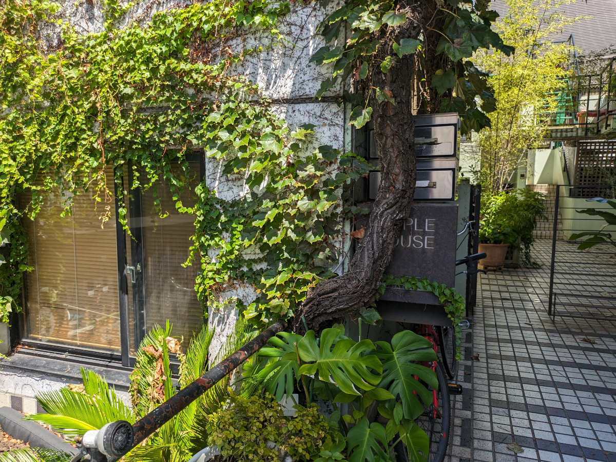fresh/building/J00100510774_10