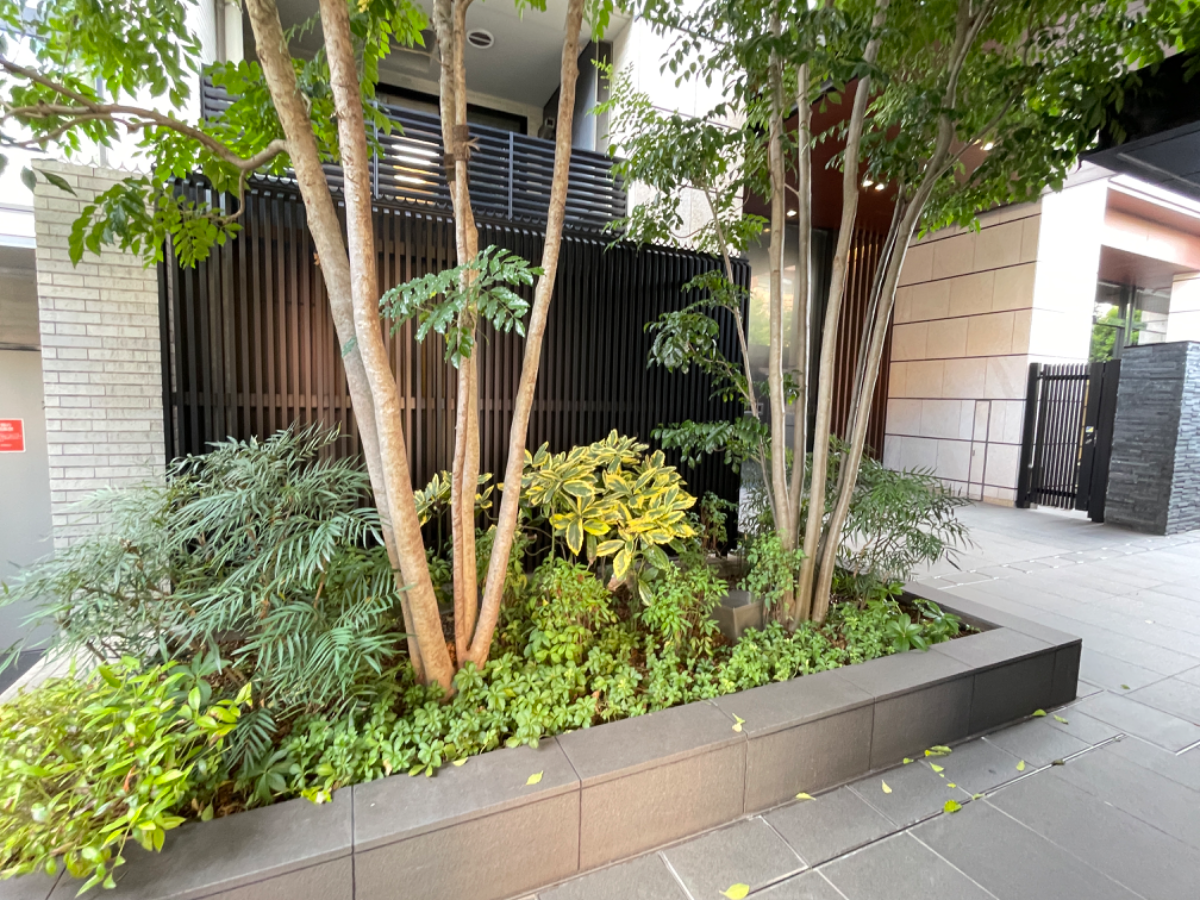 fresh/building/J00100513035_10