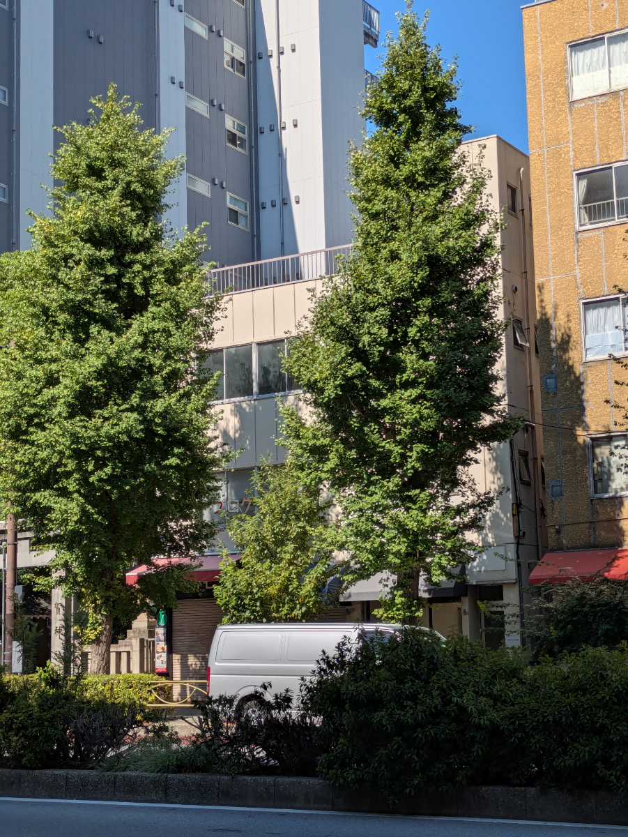 fresh/building/J00100607979_9