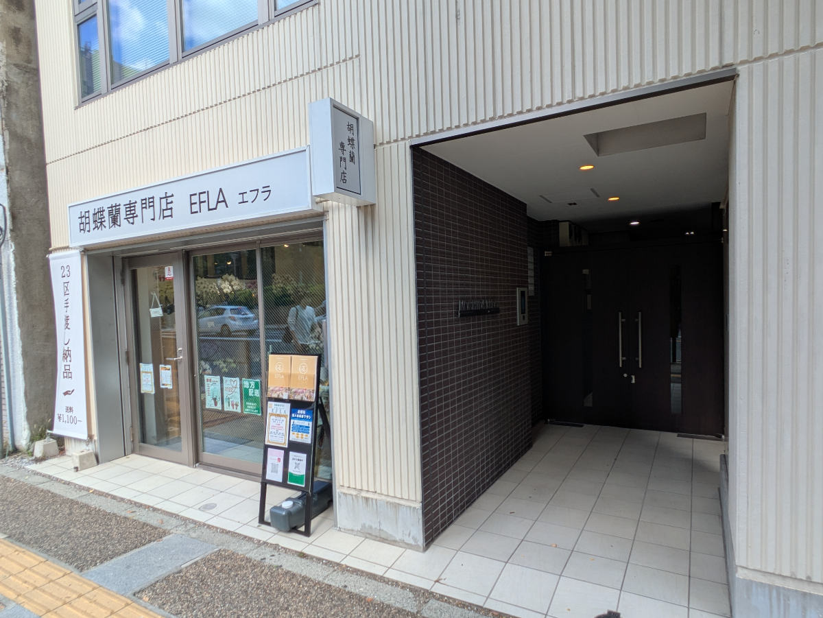 fresh/building/J00100608234_3