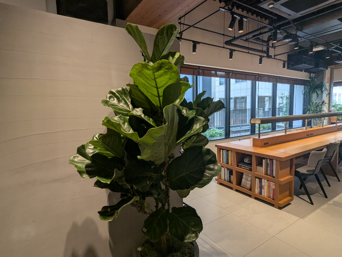 fresh/building/J00100608260_22