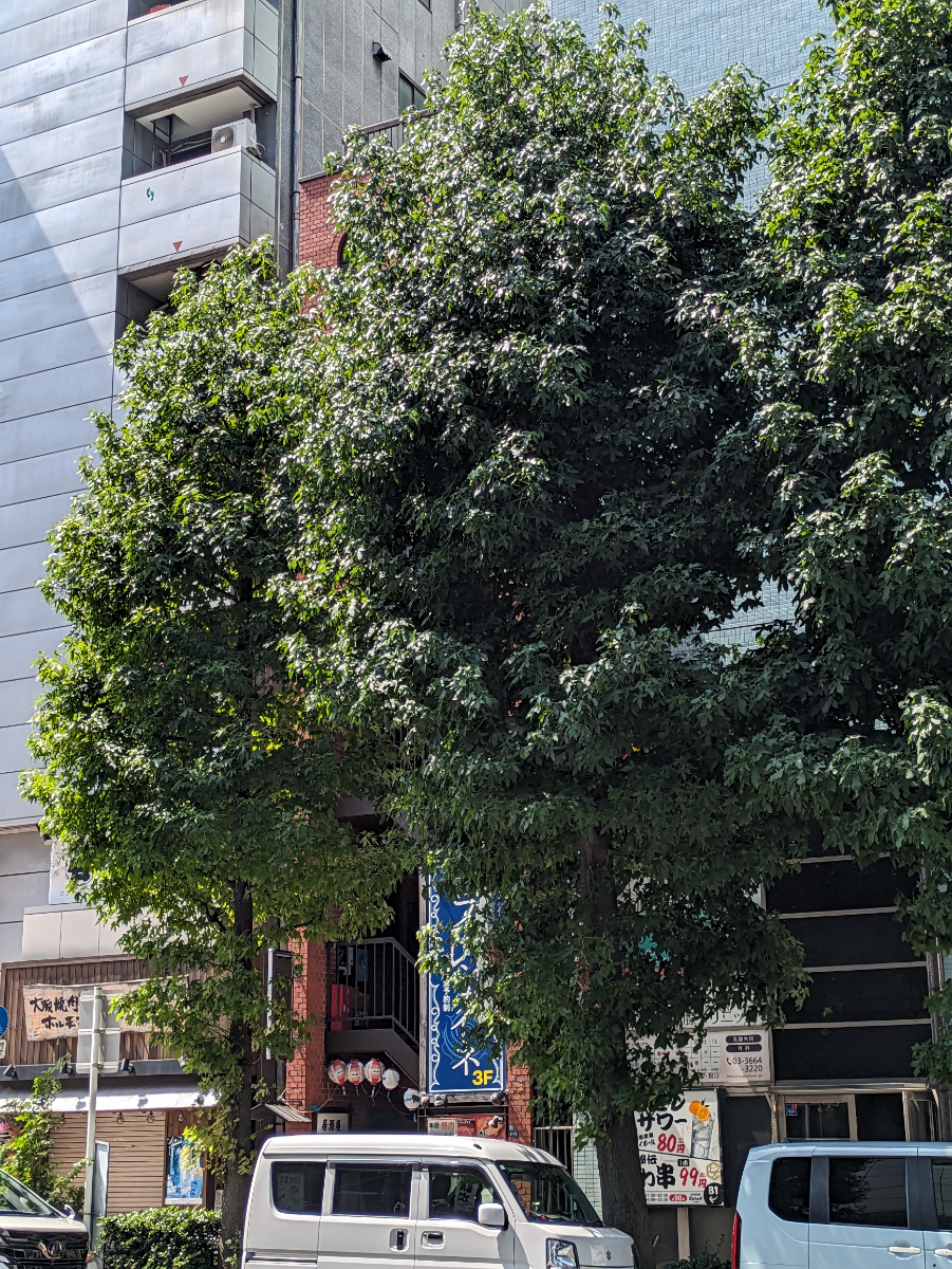 fresh/building/J00100608547_6