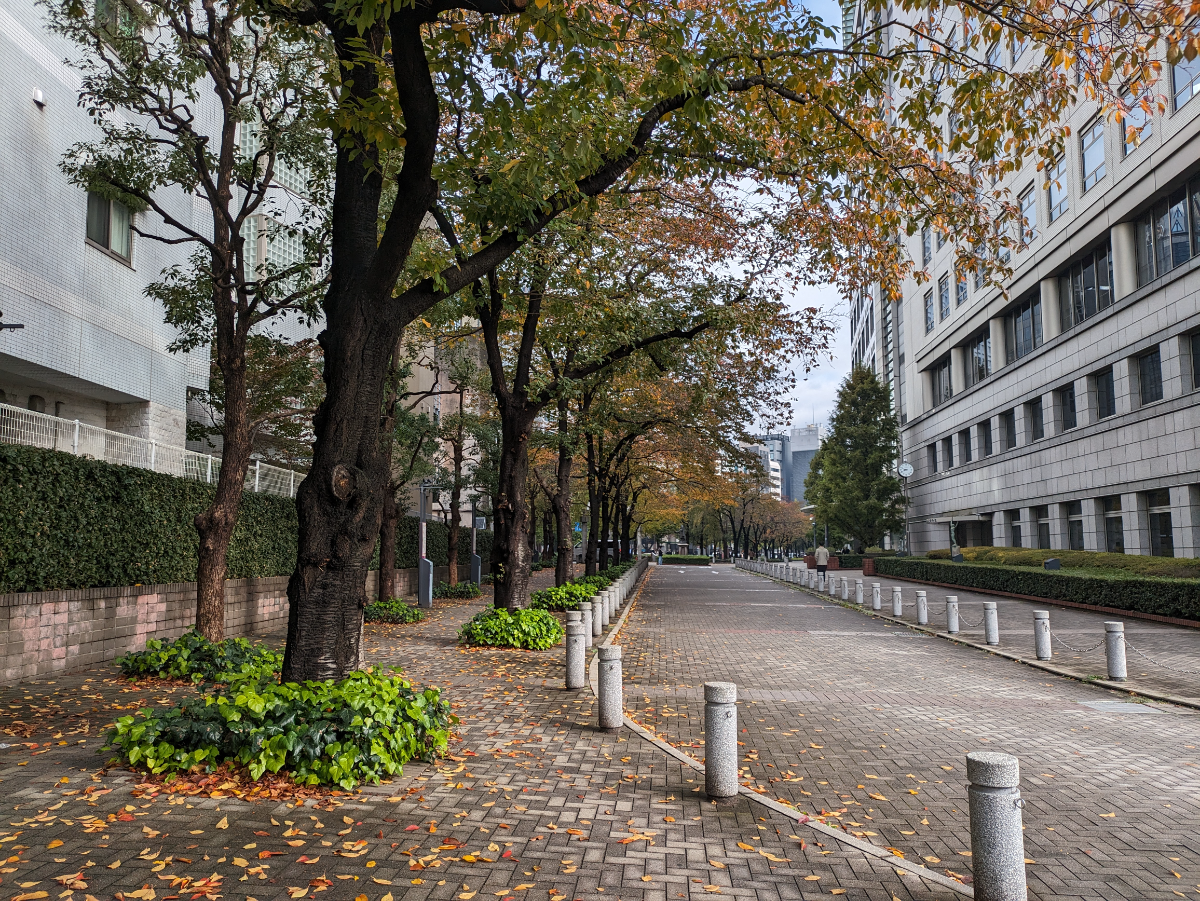 fresh/building/J00100609171_19