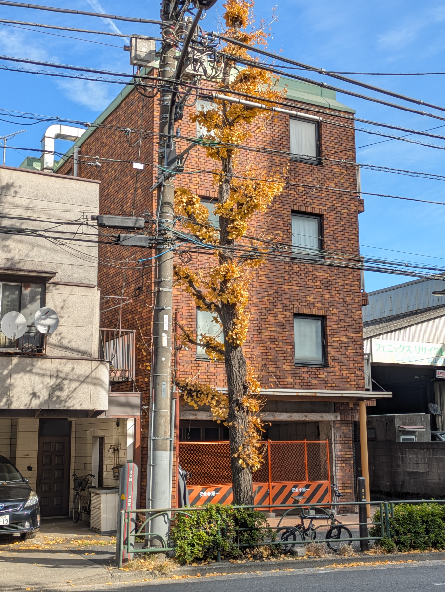 fresh/building/J00100611243_5