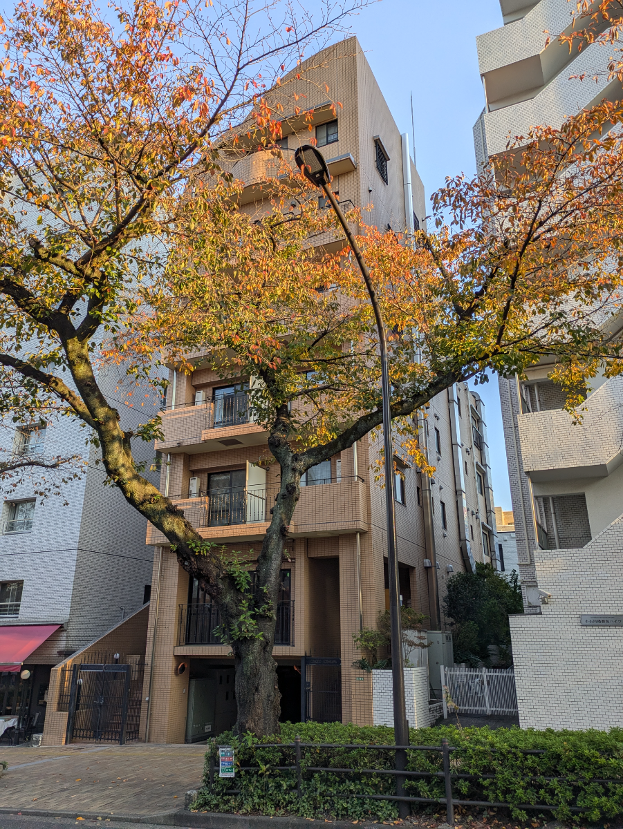 fresh/building/J00100611776_14