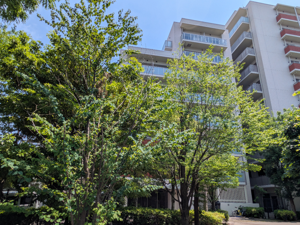 fresh/building/J00100625056_10