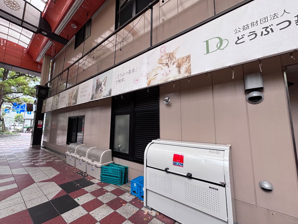 fresh/building/J00100631630_6