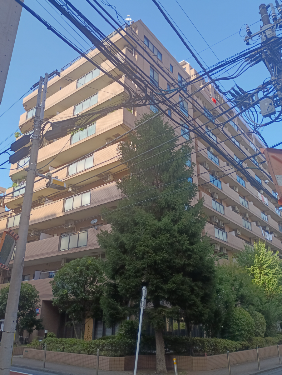 fresh/building/J00100632228_1