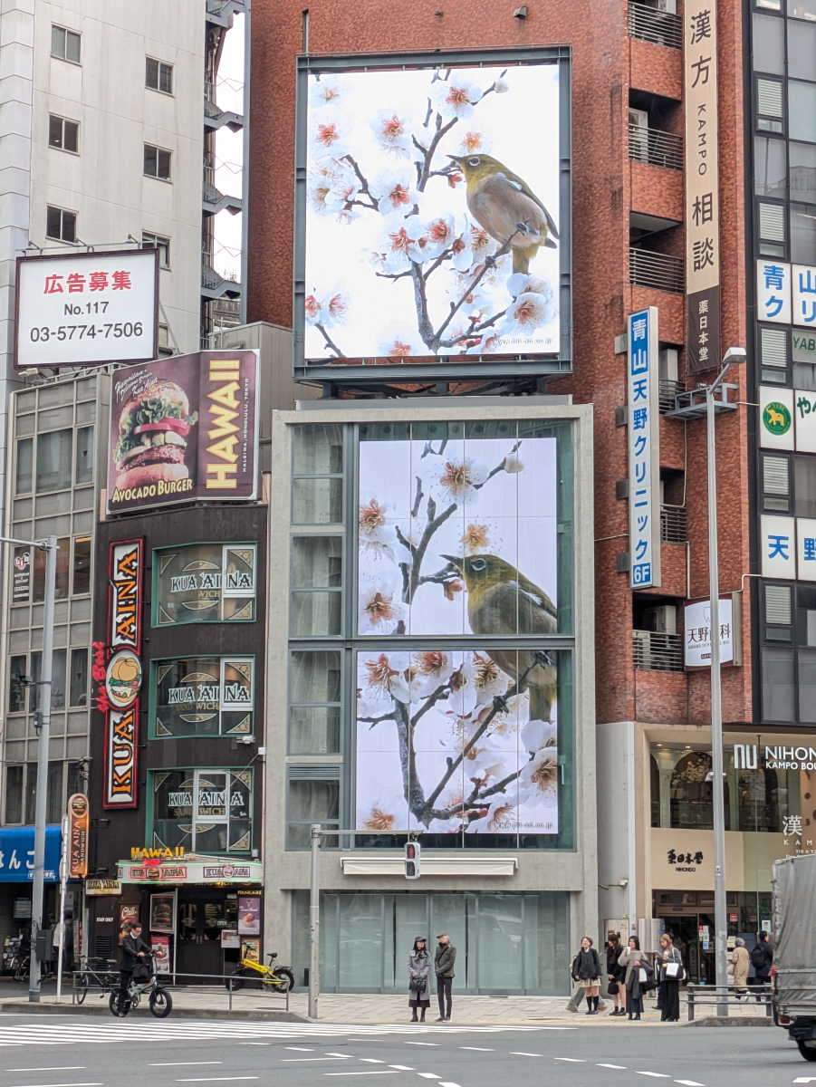 fresh/building/J00100632292_9
