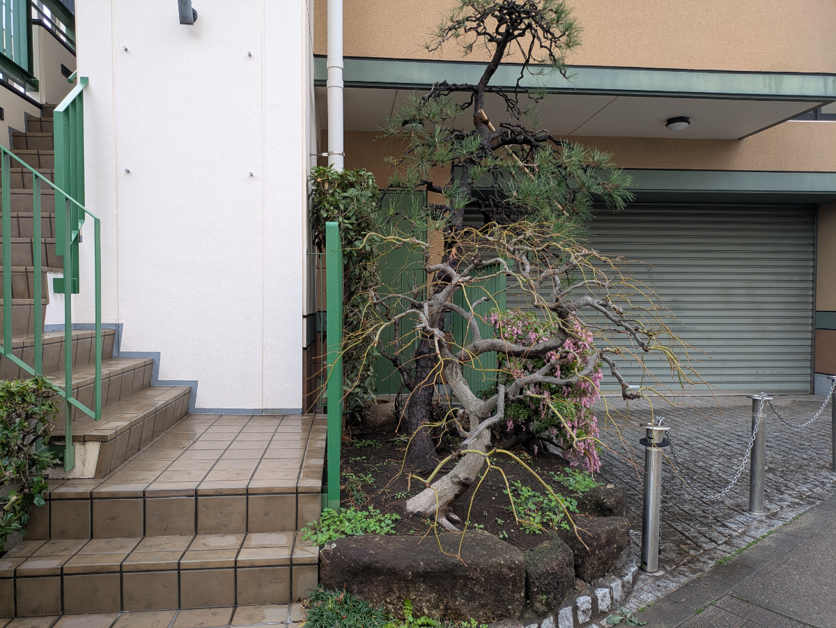 fresh/building/J00100633785_8