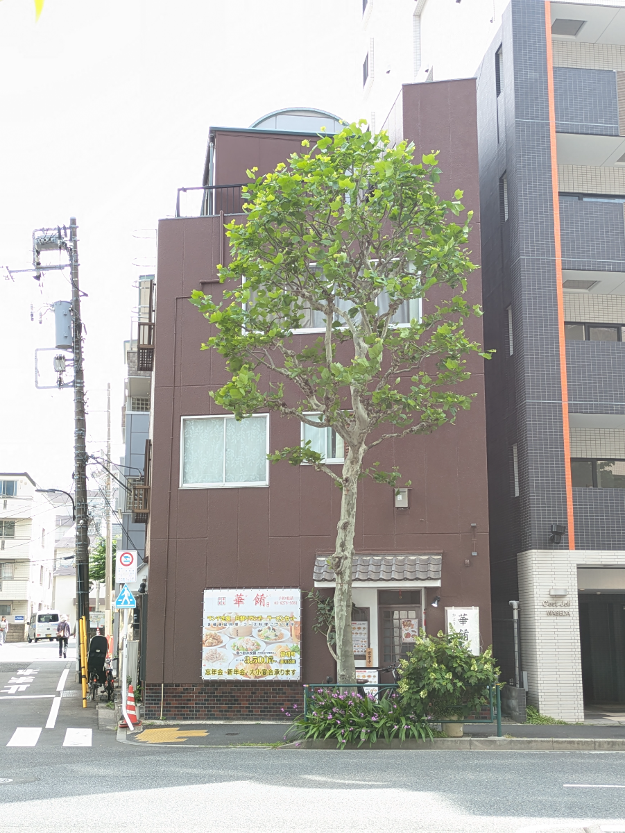 fresh/building/J00100635604_6