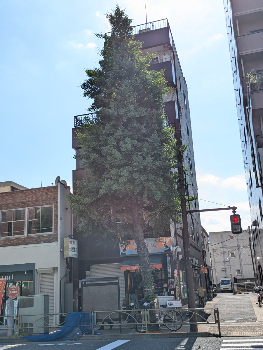 fresh/building/J00100635984_13