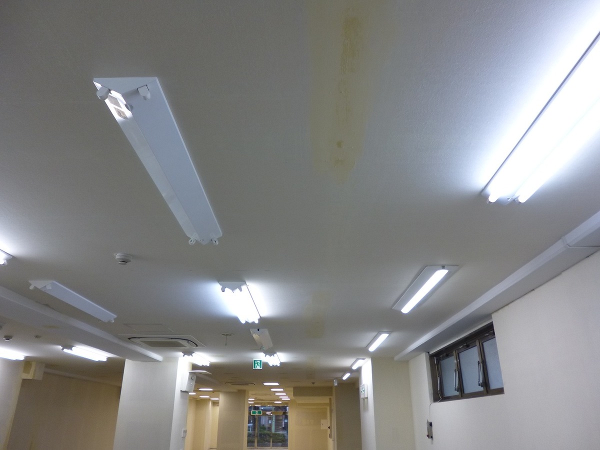 fresh/room/H00102385810_4