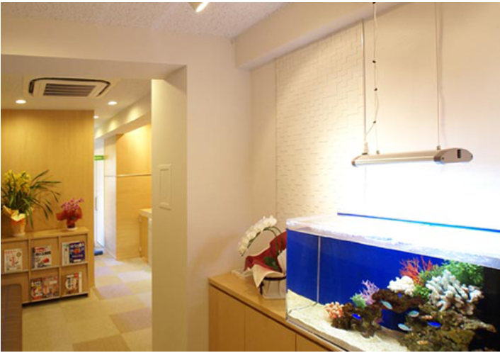 fresh/room/H00102730334_22