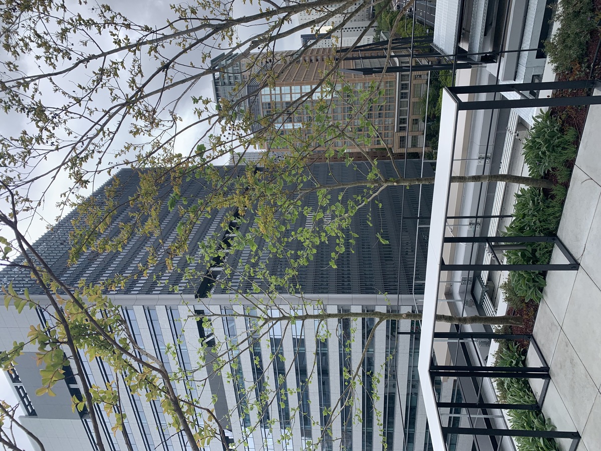 fresh/room/H0012468296_26