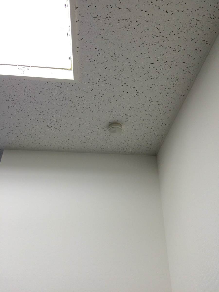 fresh/room/J00101954039_7