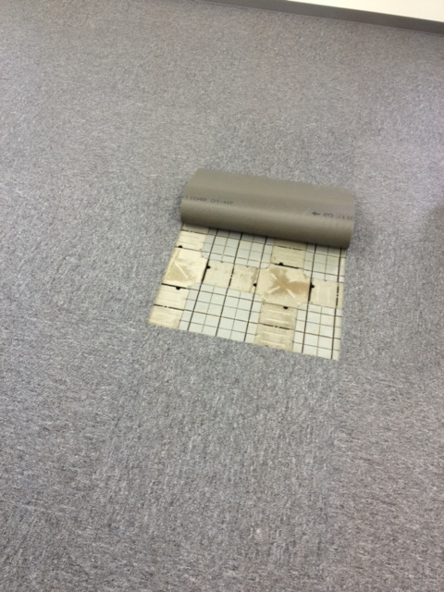 fresh/room/J00101988367_4