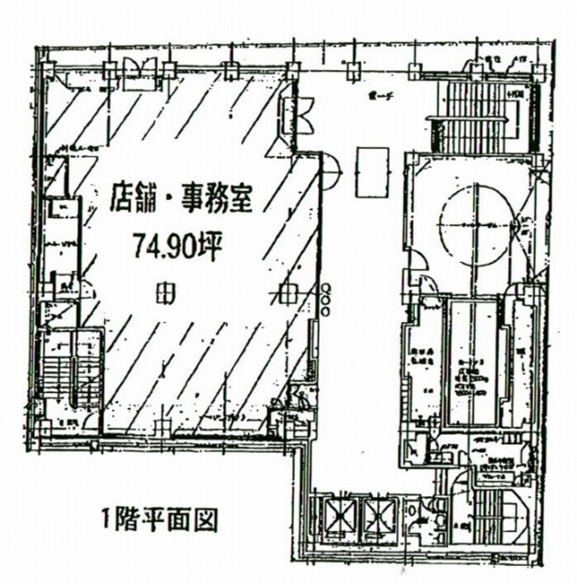 fresh/room/J00102046803_1