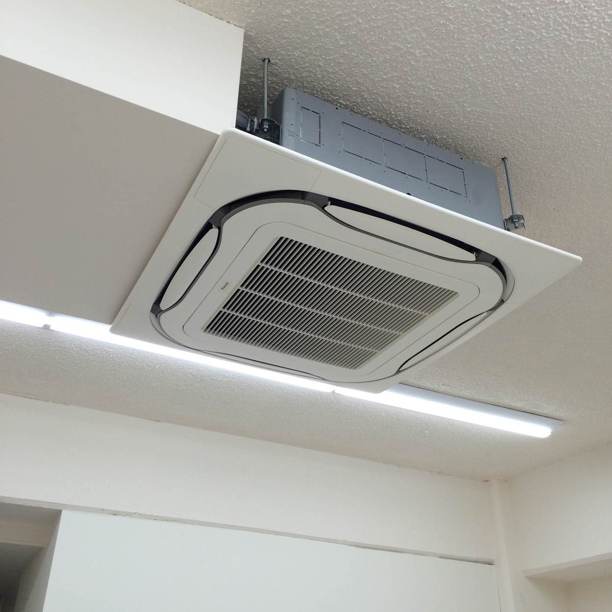fresh/room/J00102063704_4