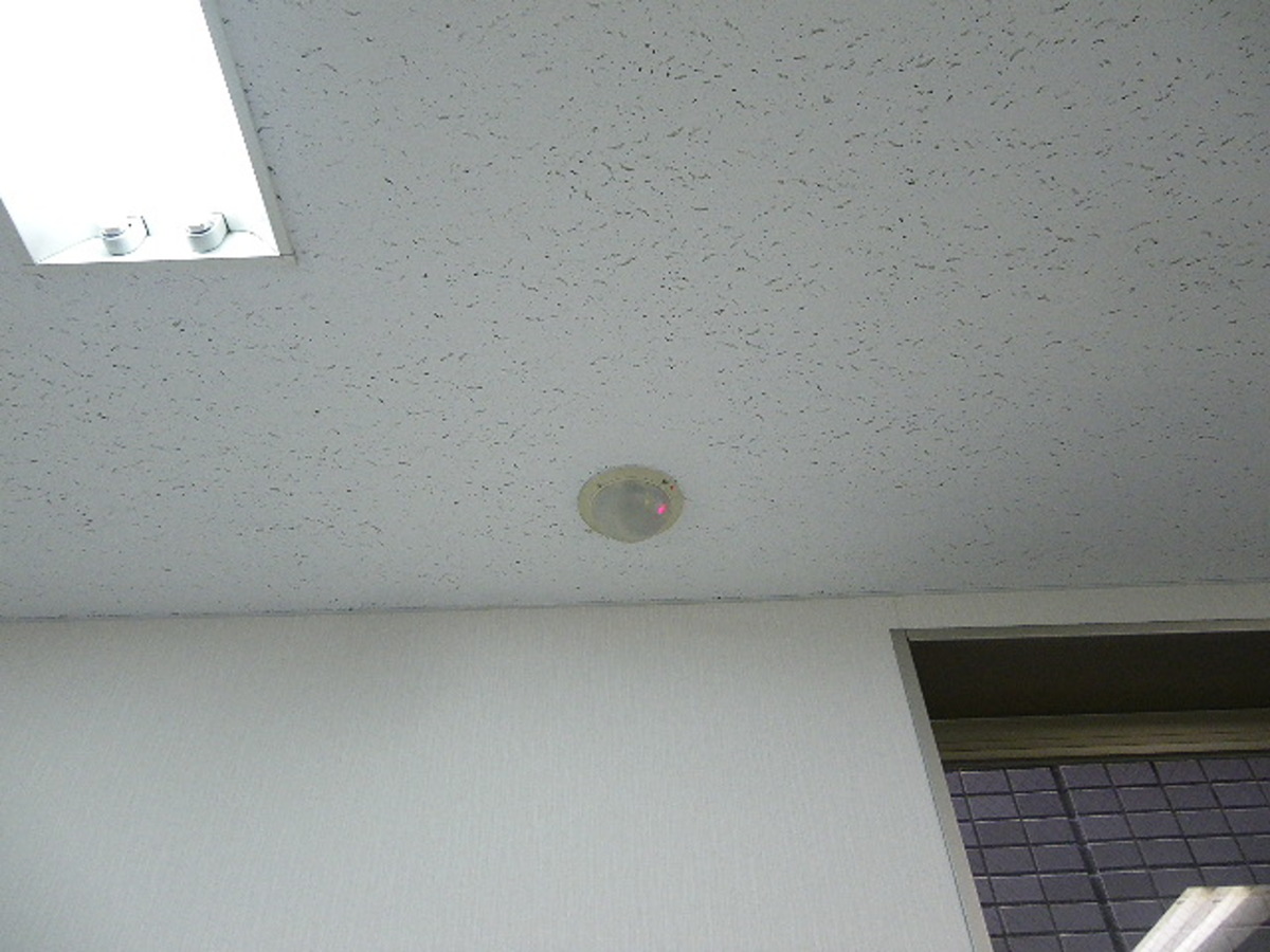 fresh/room/J00102071925_5