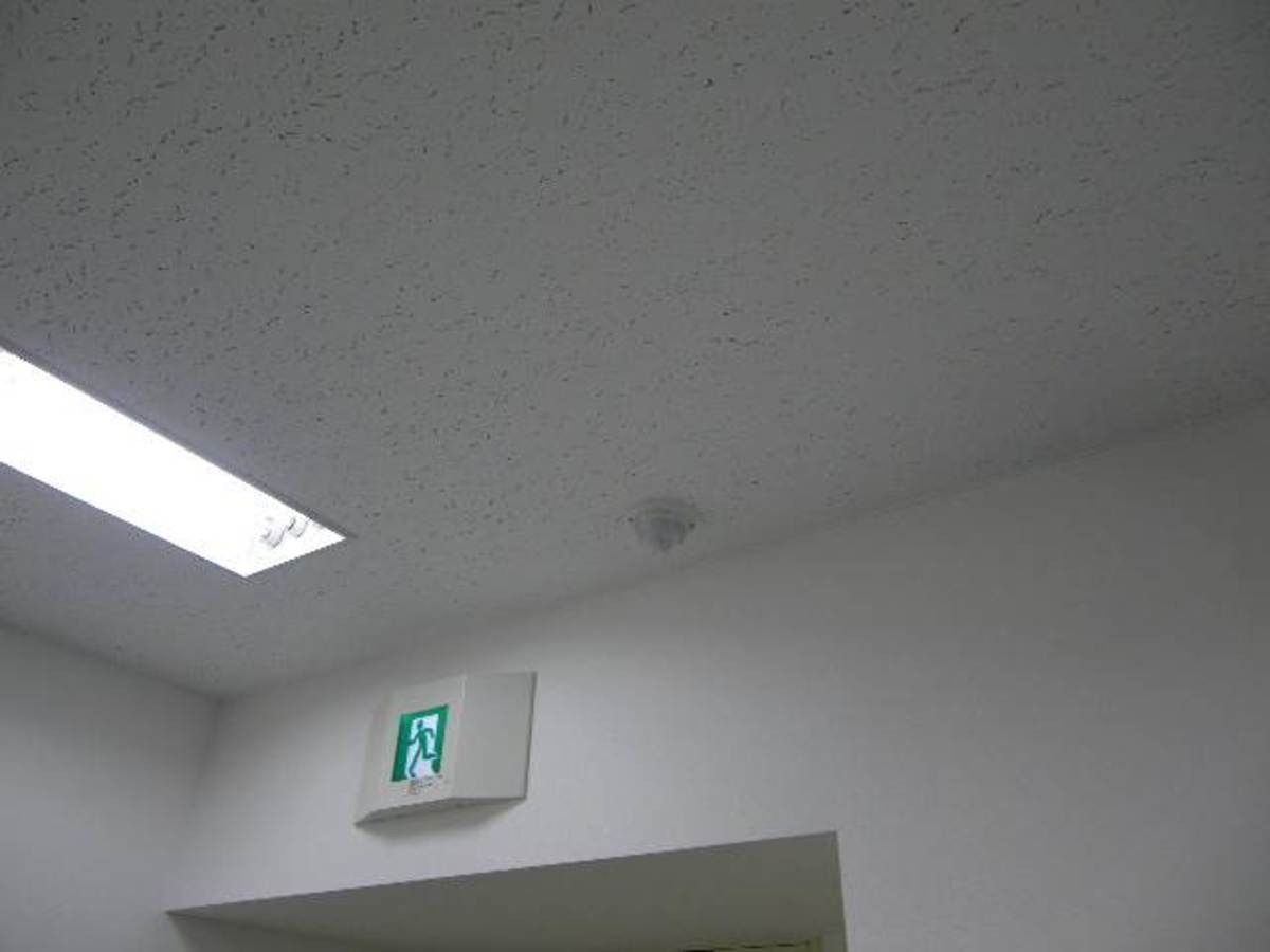 fresh/room/J00102102655_6