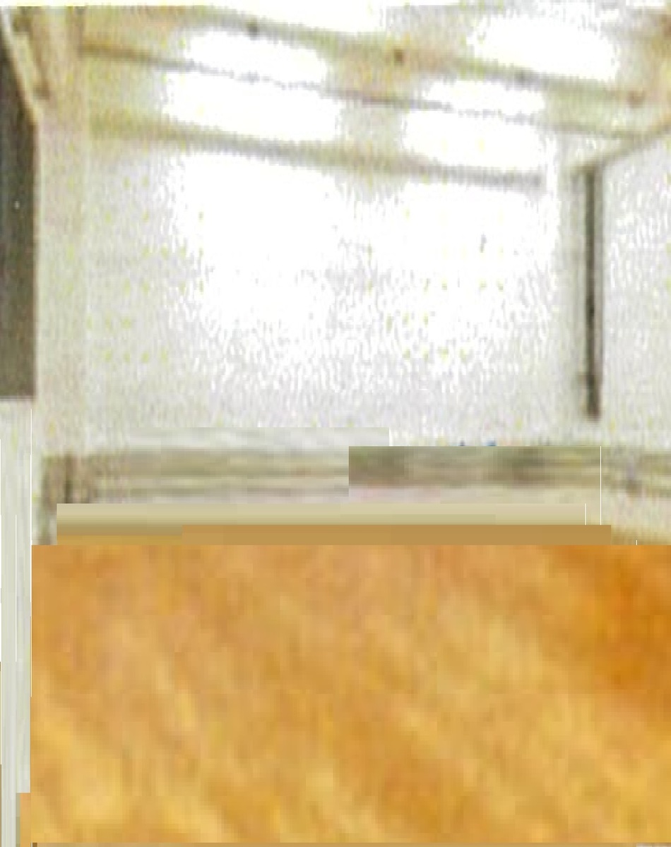 fresh/room/J0012407352_5