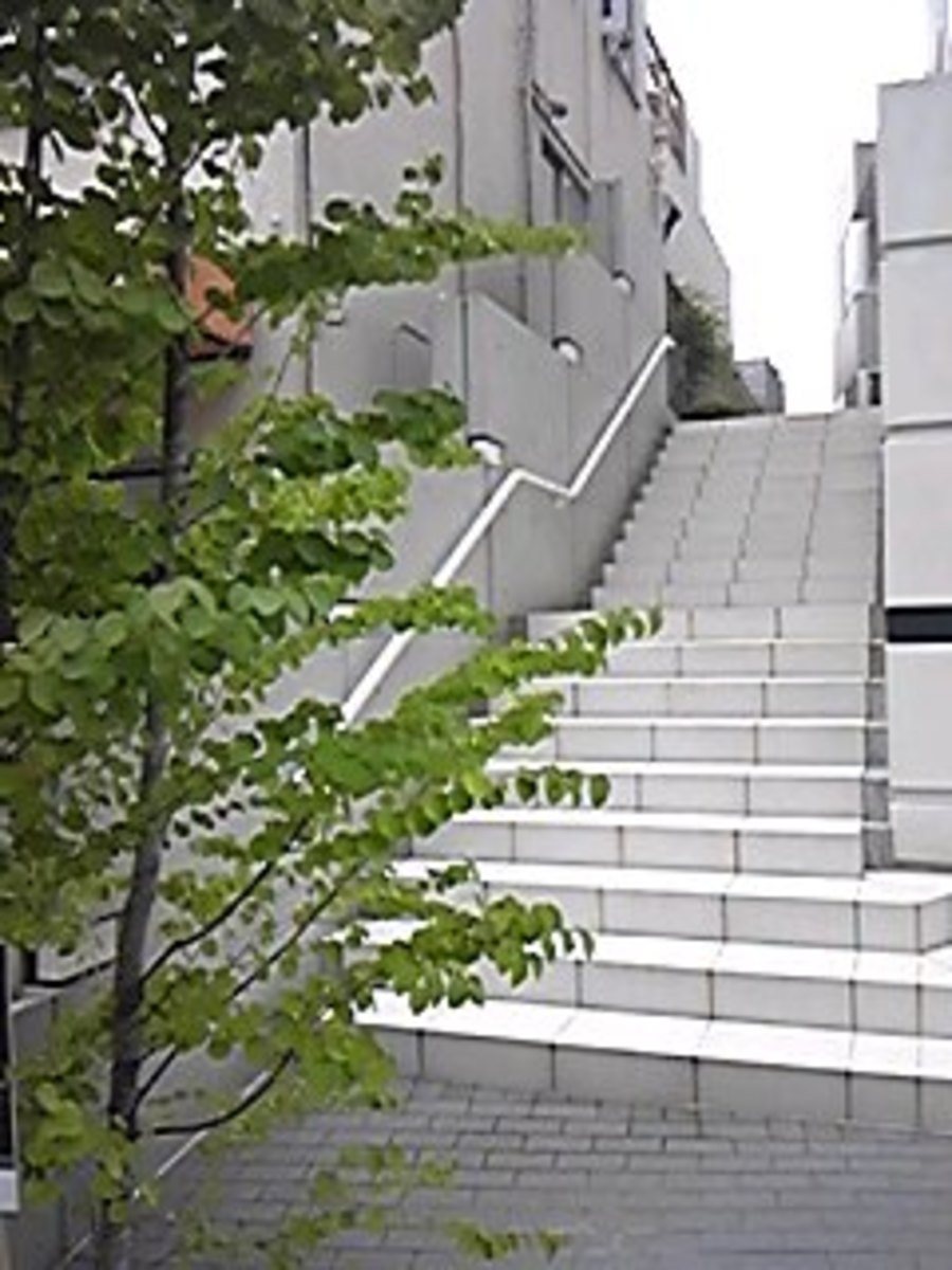 v20240228174054/fresh/building/J00100404564_9