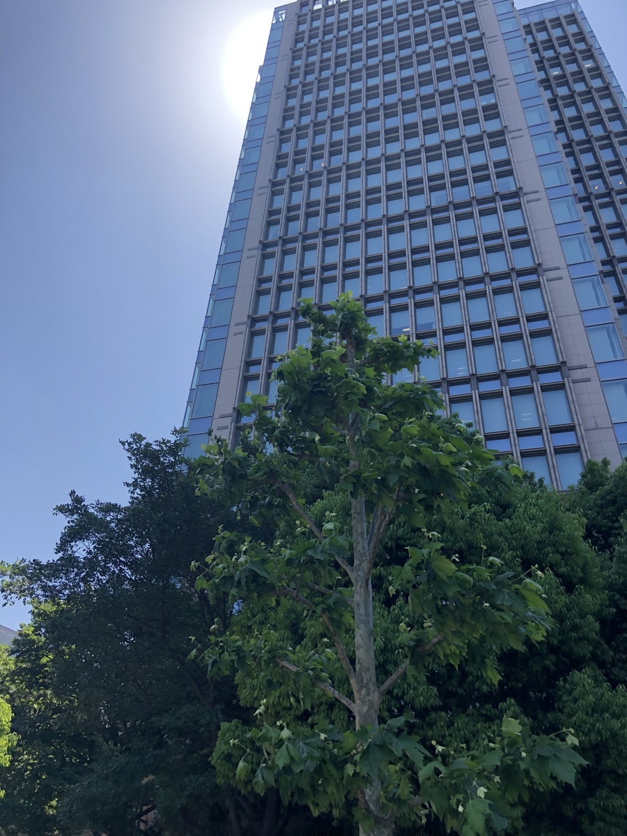 v20240701174101/fresh/building/J00100363206_19