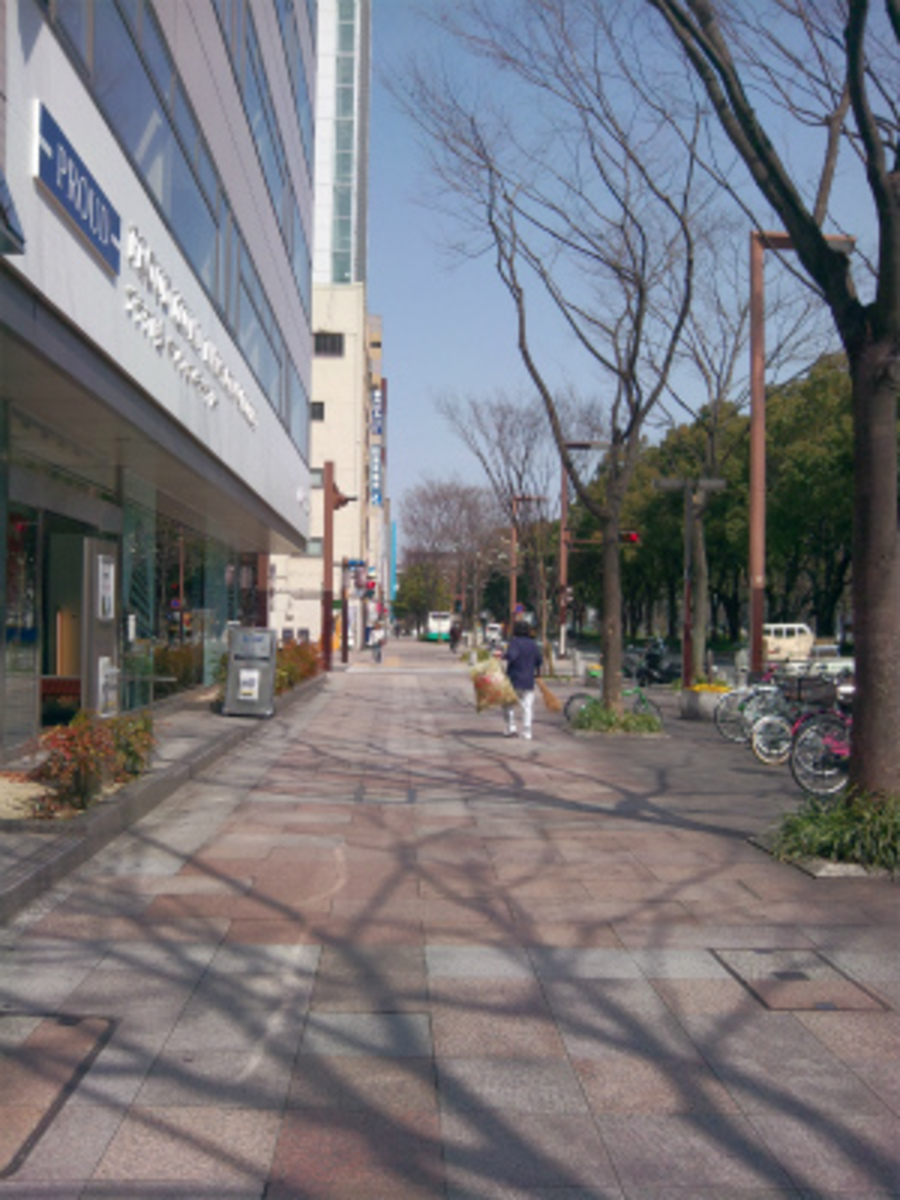 v20250427003805/fresh/building/J00100398332_2