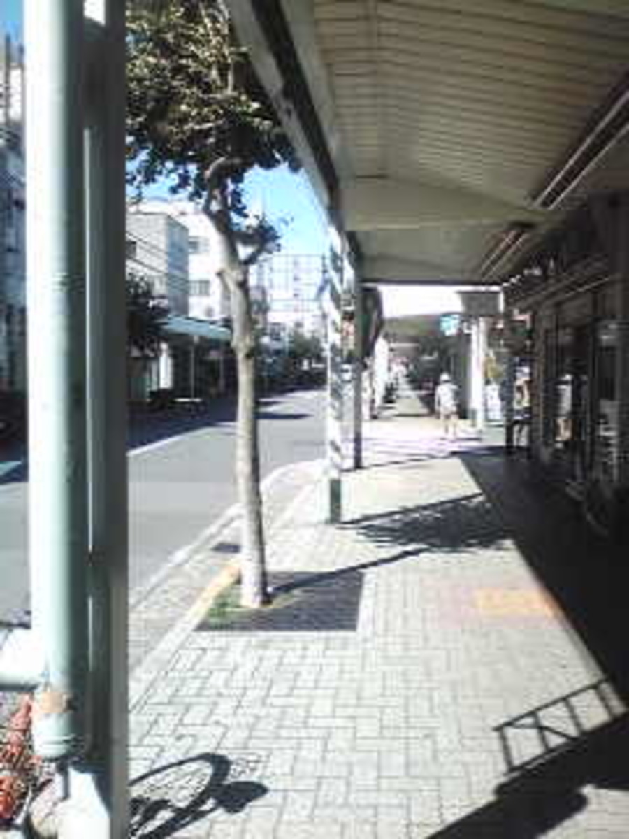 v20250427004617/fresh/building/J00100406269_2