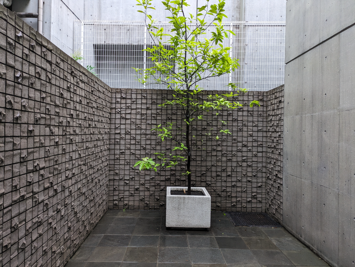 v20250427010816/fresh/building/J00100498124_6