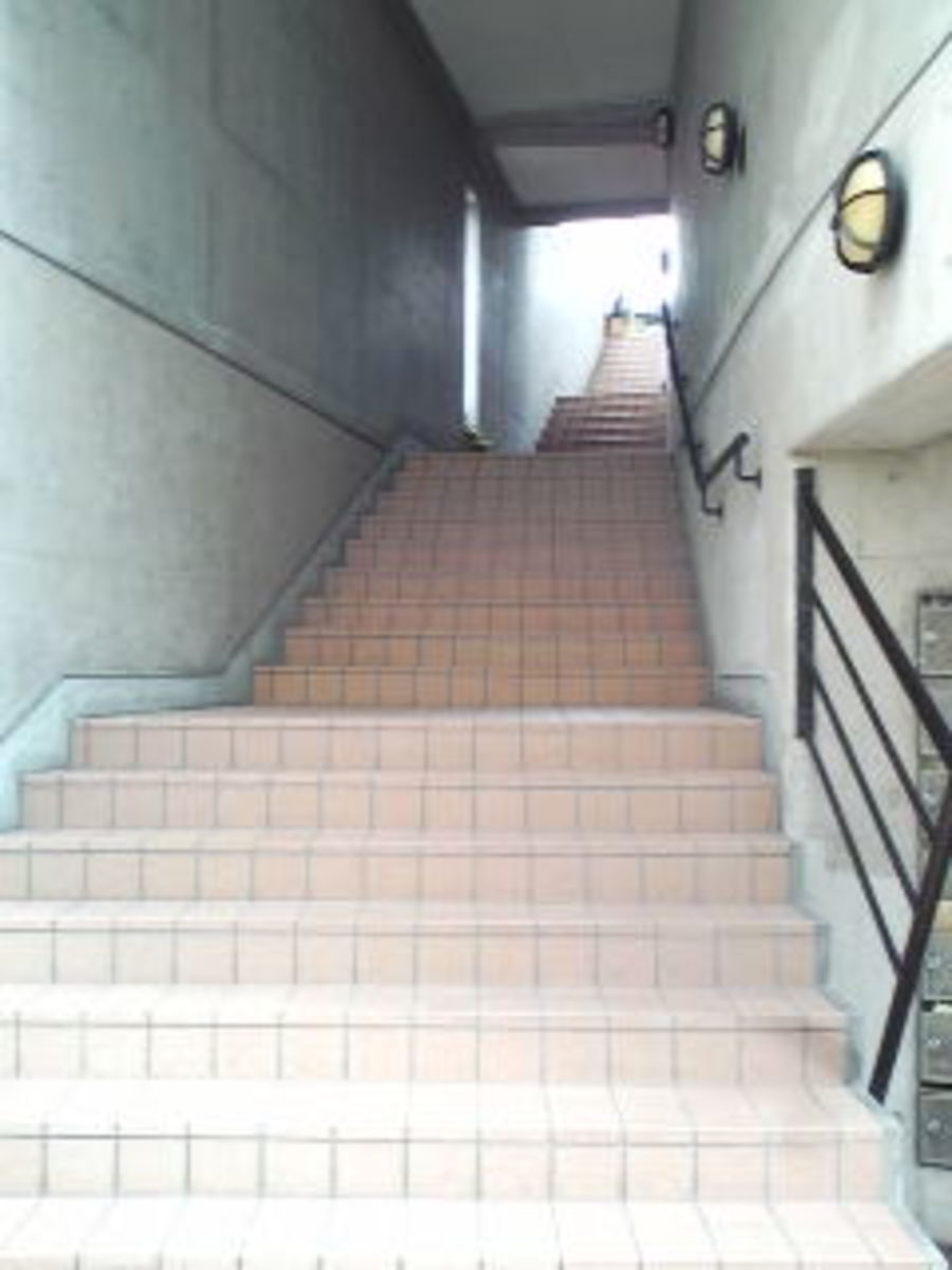 v20250427023127/fresh/building/J00100378419_3