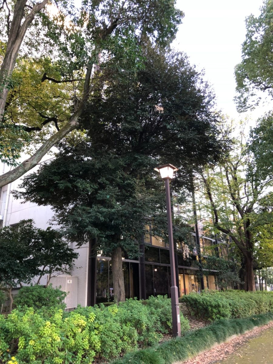 v20250427023510/fresh/building/J00100381883_9