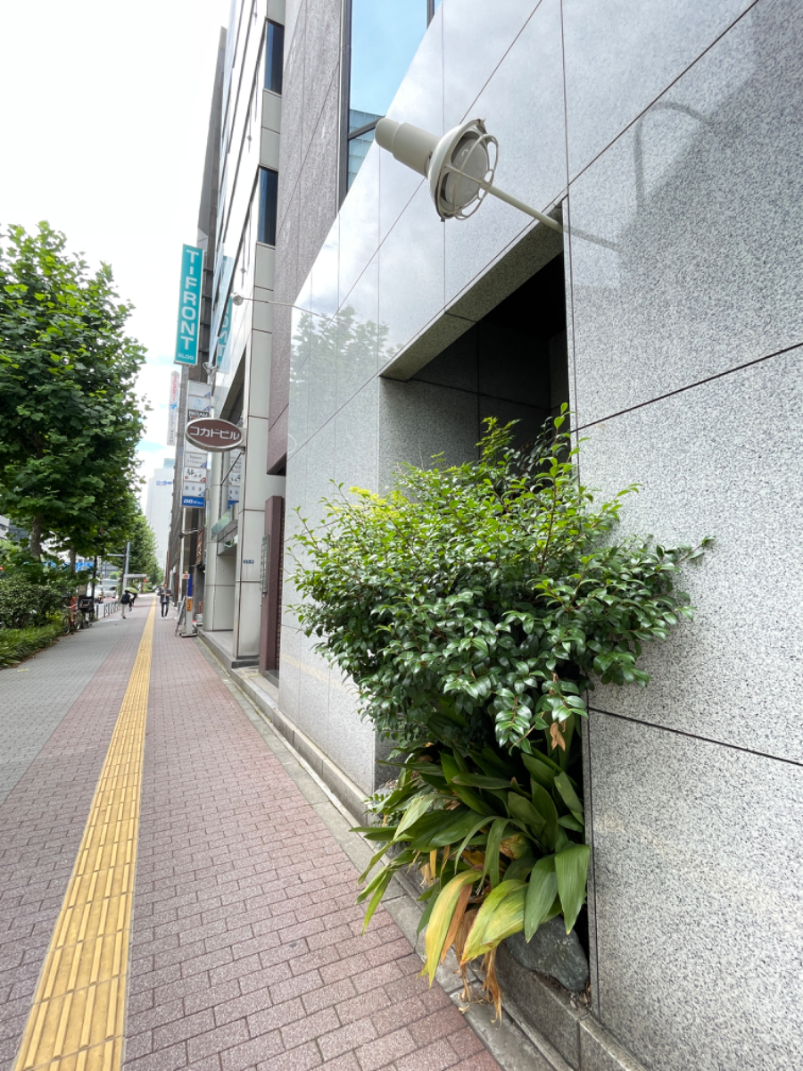 v20250427023809/fresh/building/J00100384528_9